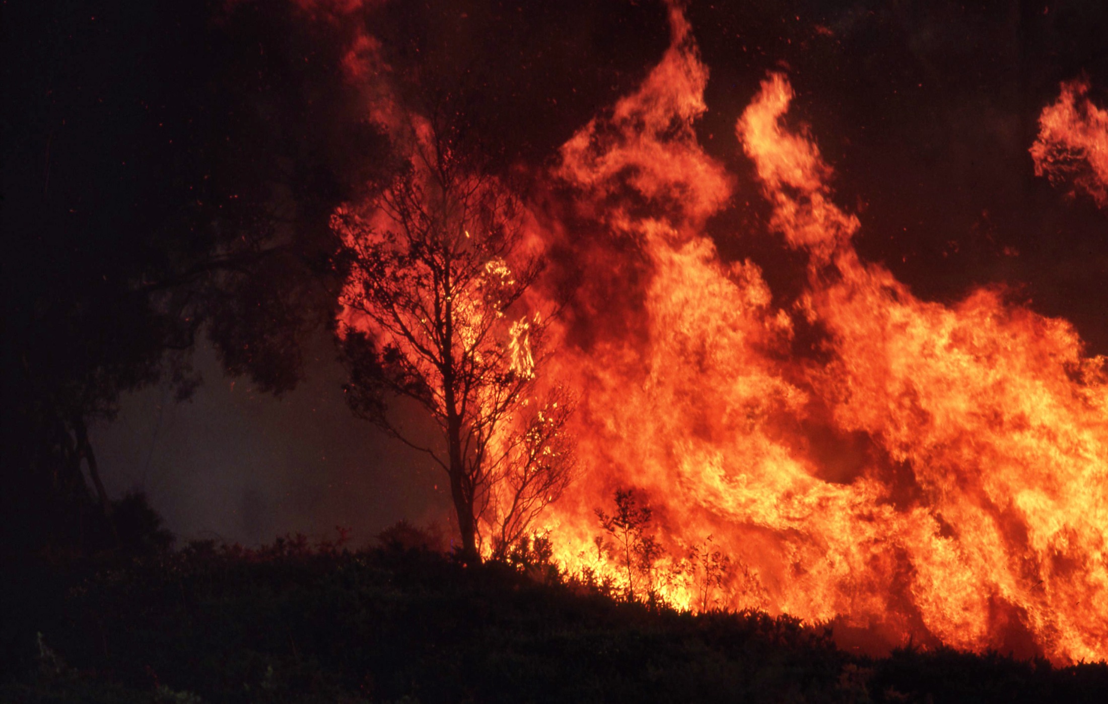 Active bushfire conditions