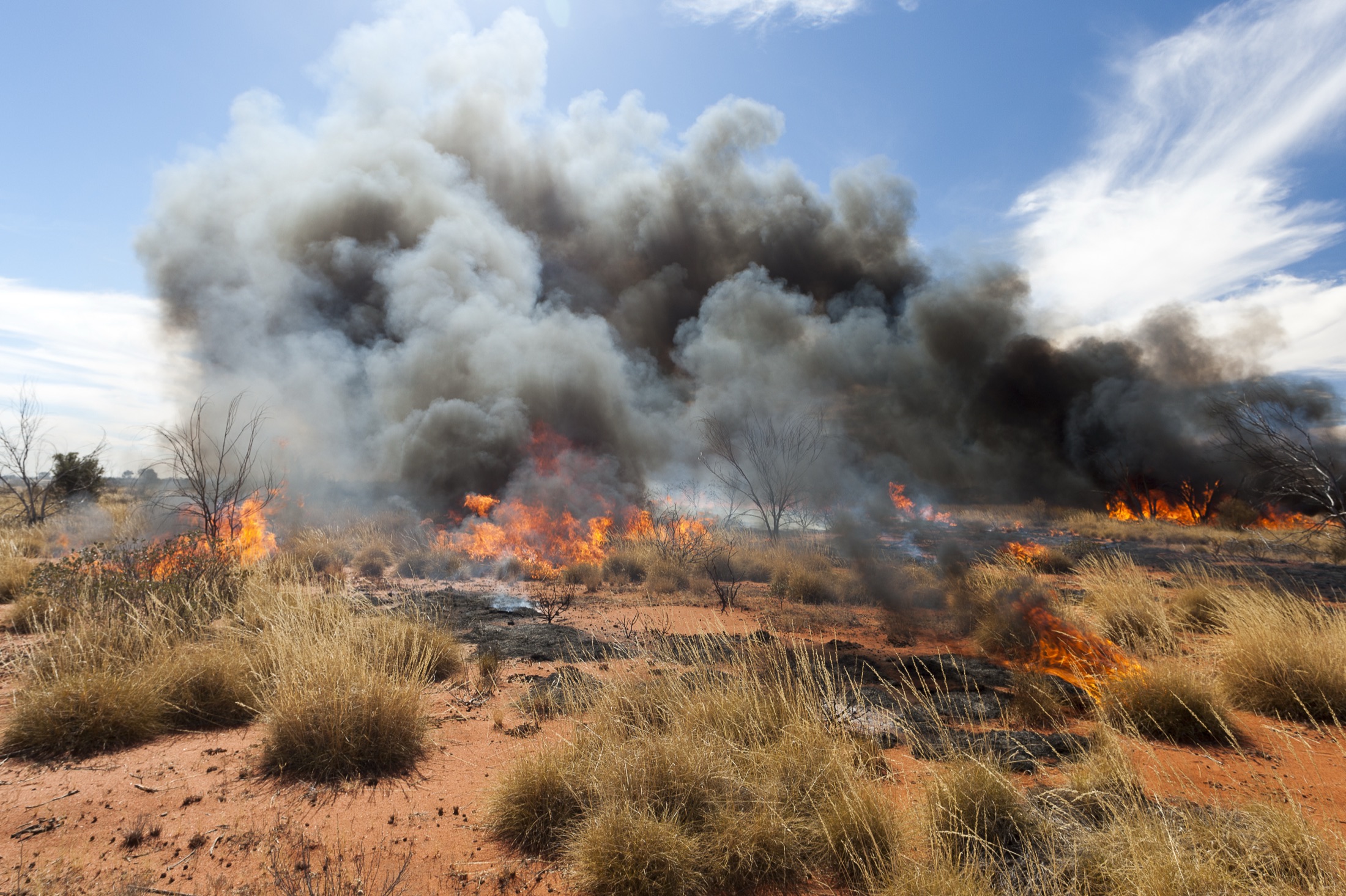 Bushfire smoke and fire activity