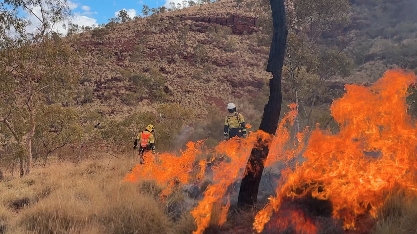 Prescribed burning training in a field setting