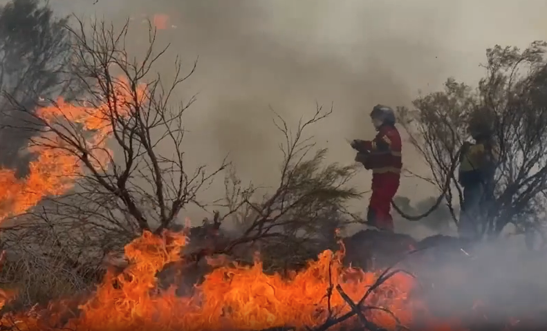 Emergency response team firefighters working a bushfire edge in Western Australia