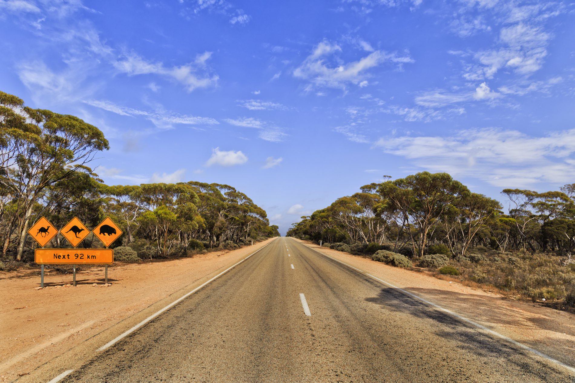 A long straight road through Gascoyne station country