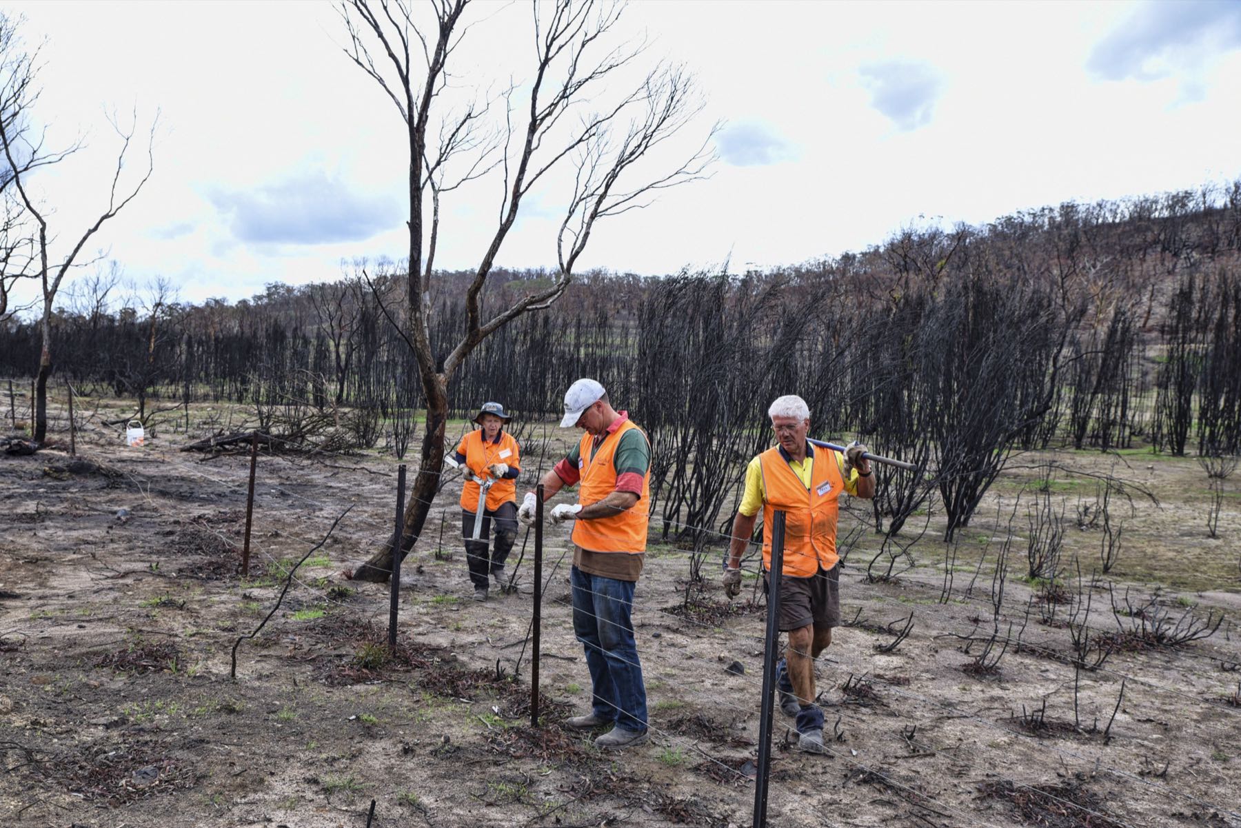 Volunteers rebuilding a fence line in a bushfire-affected community